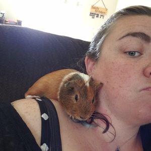 Meet your Posher, Ashley